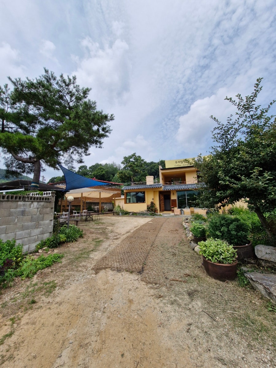 Bueok photo 4