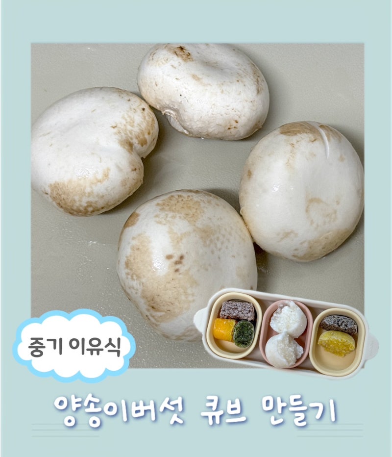 아기이유식) 양송이버섯 큐브 만들기