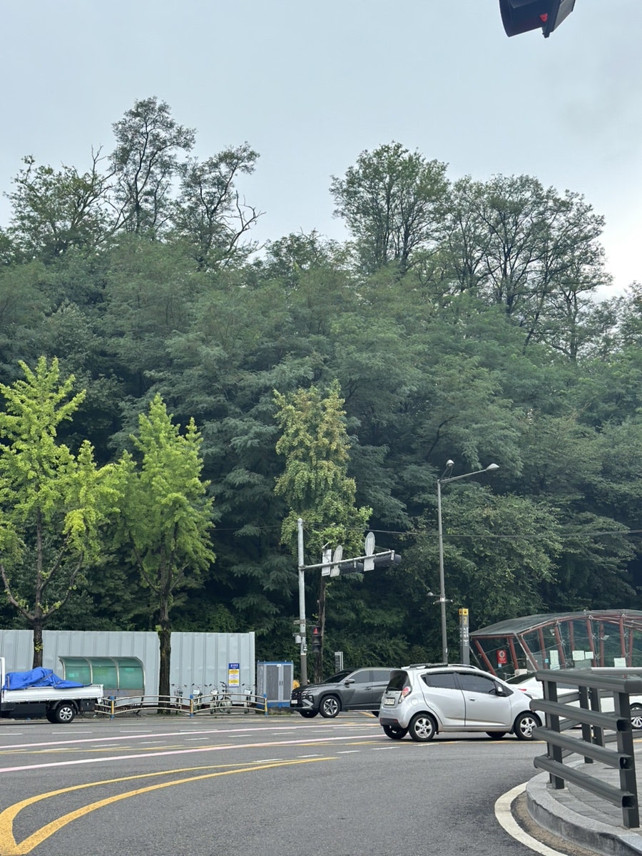 이태원 농담 사진 2