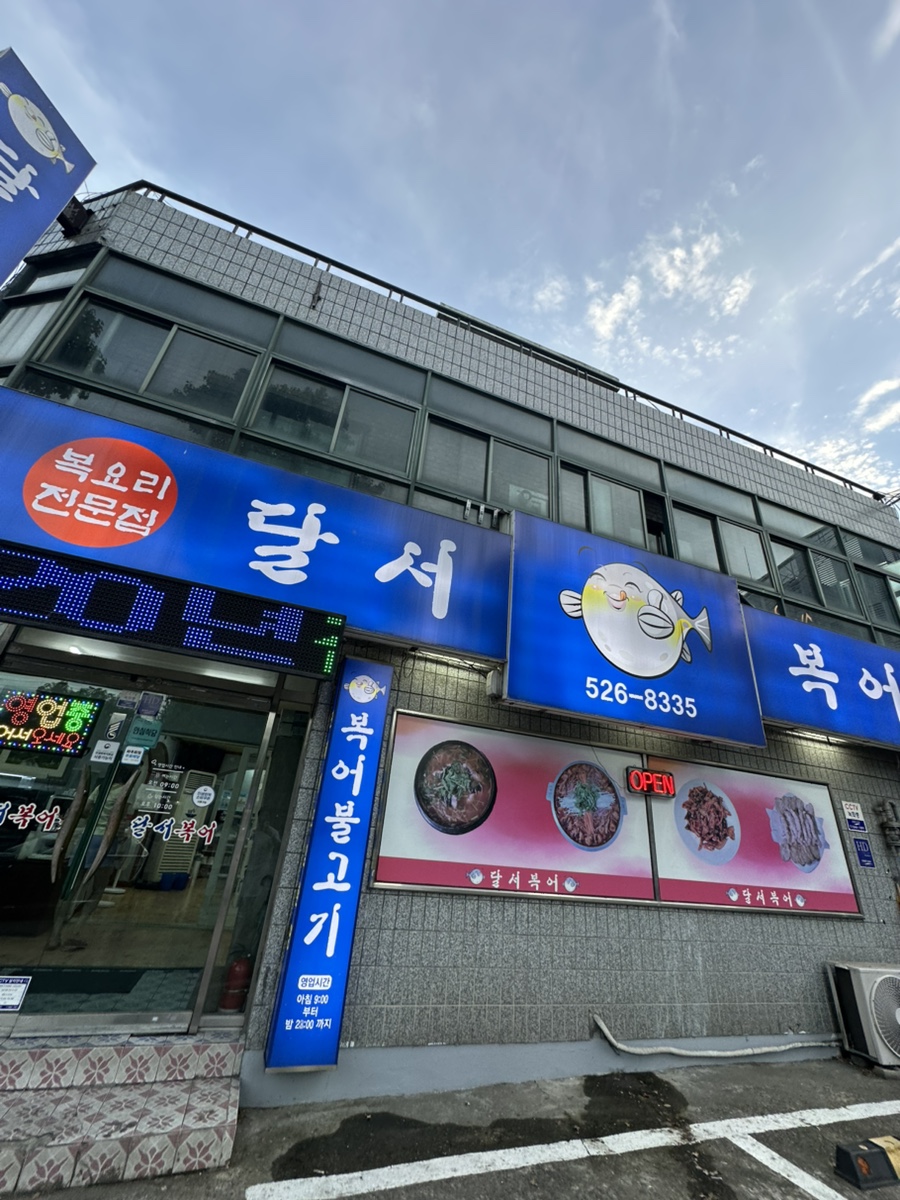 달서복어 사진 1