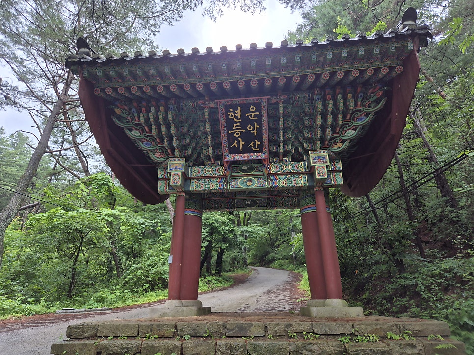 무우 사진 2