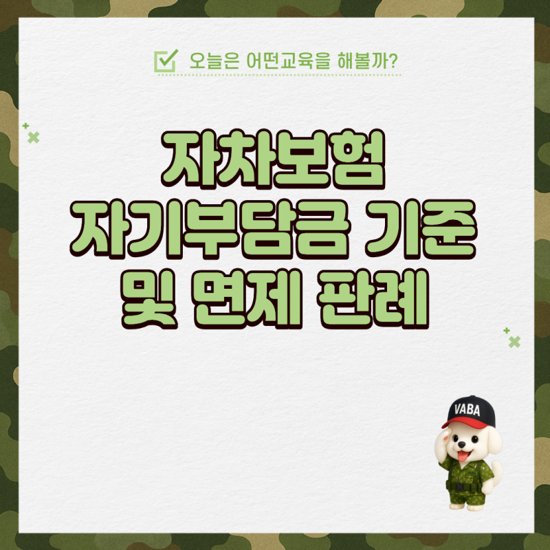 자차보험 자기부담금 기준 및 면제 판례
