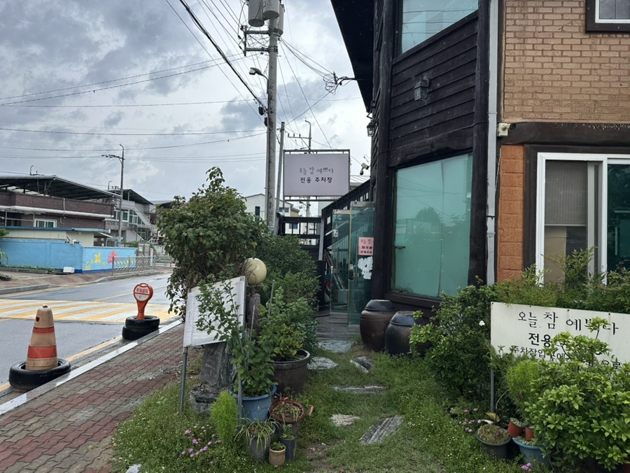 오늘참예쁘다