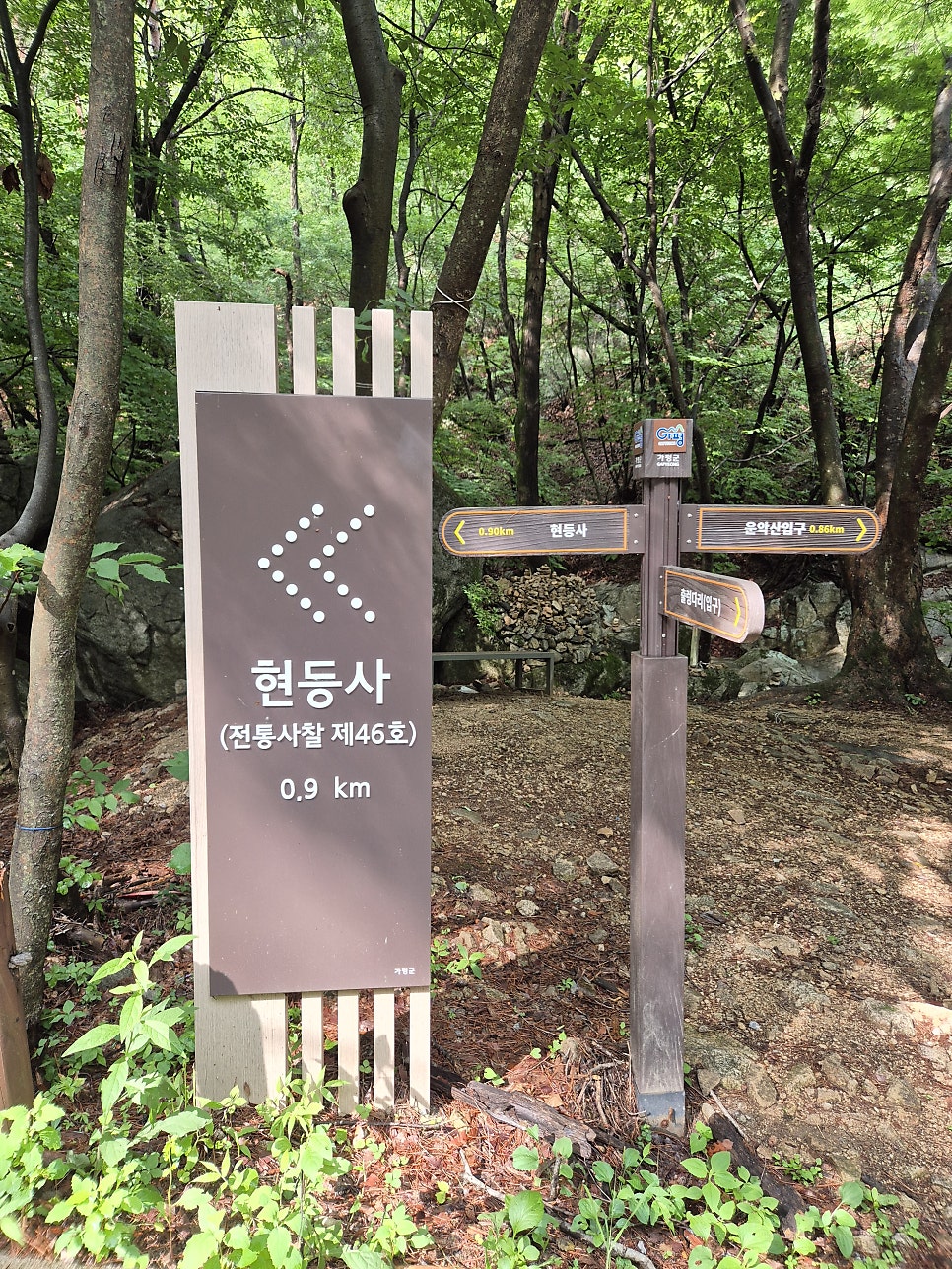 무우 사진 4