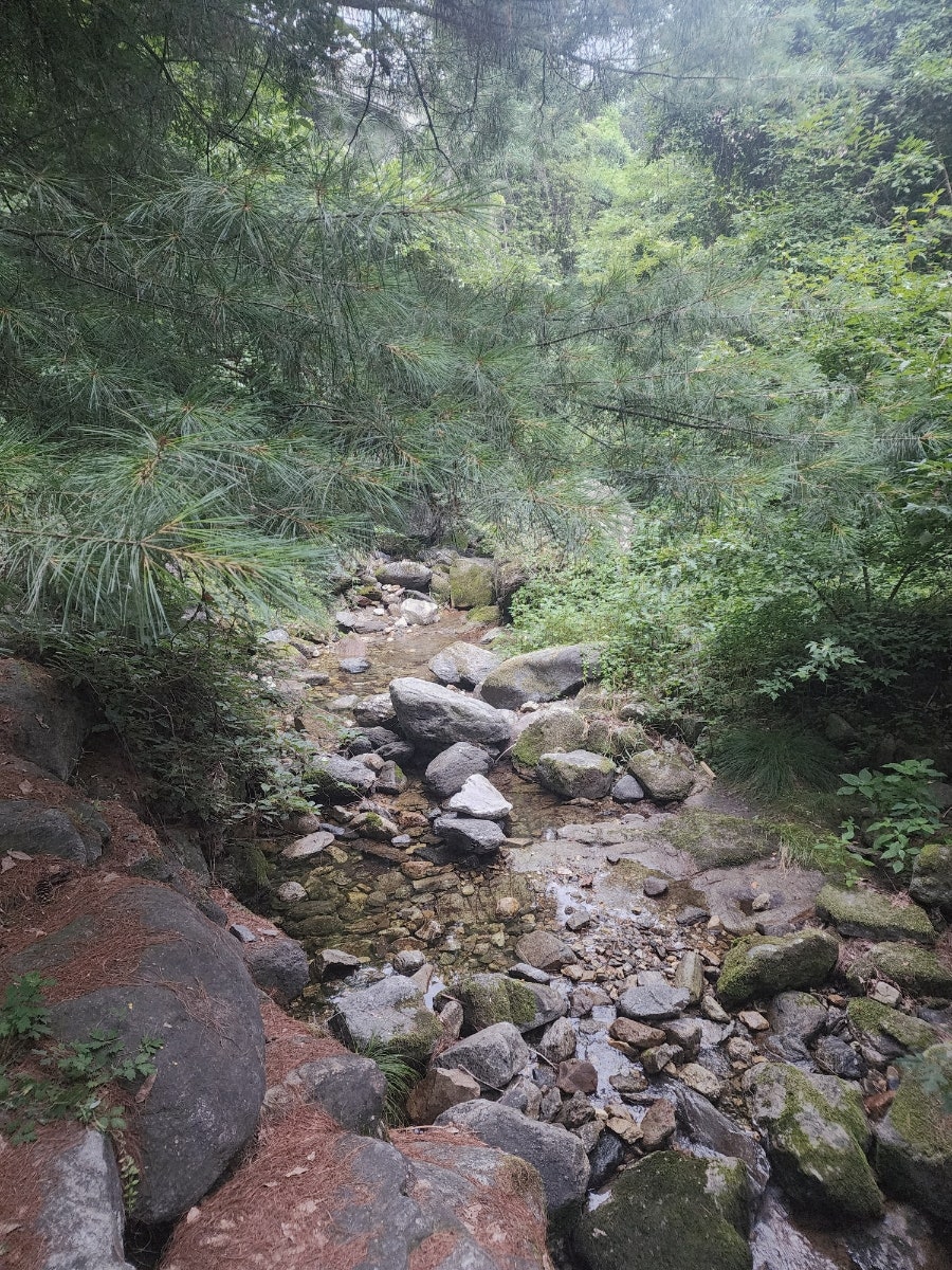 산머루펜션 사진 4