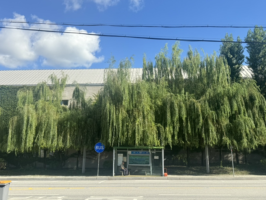 거궁 사진 1