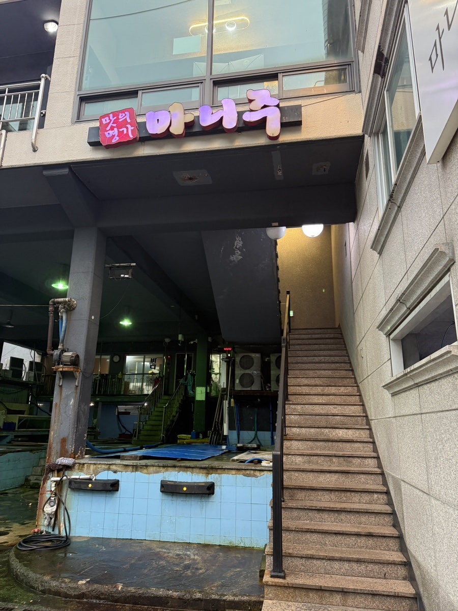 마니주 사진 4