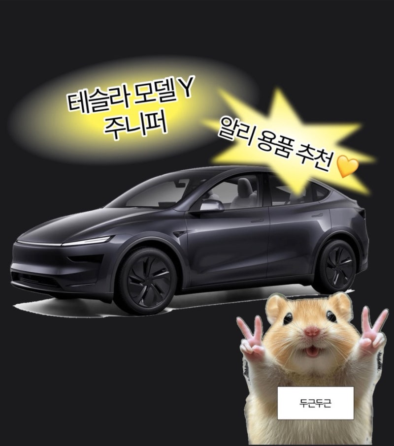 테슬라 모델 Y 주니퍼 출고 전 알리익스프레스 용품 총정리 !