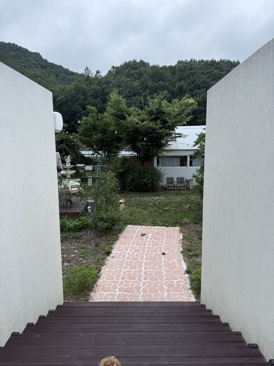 스케치 사진 2