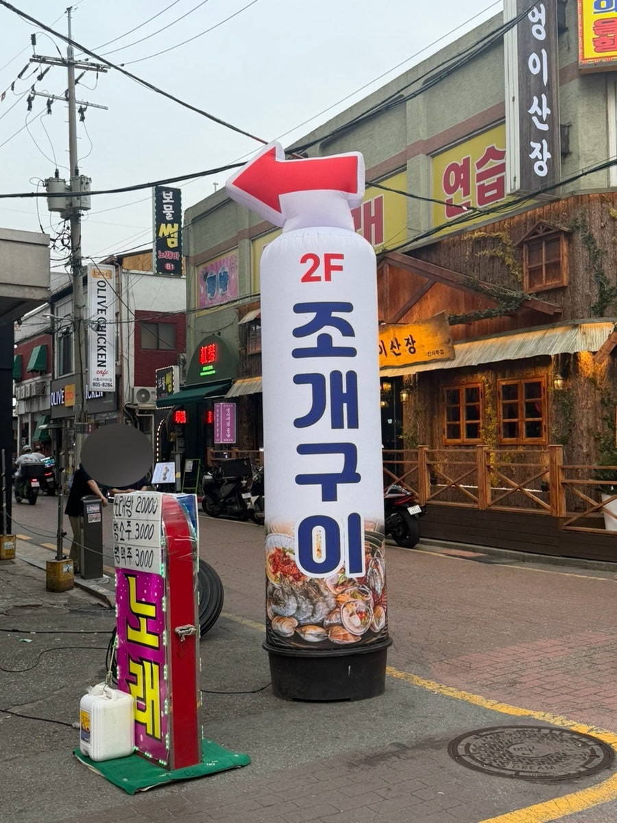 우아한조개 사진 2