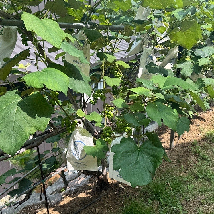 청송해달별펜션 사진 6