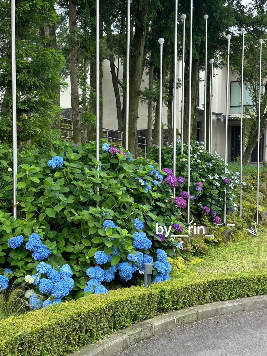 할매고등어쌈밥 함덕본점 사진 3