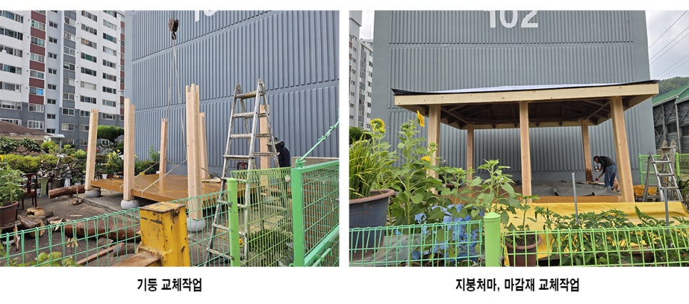 우산 사진 3