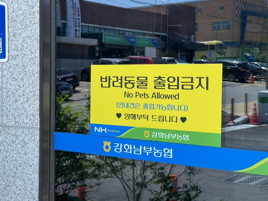 씨사이드힐캠핑장 사진 4