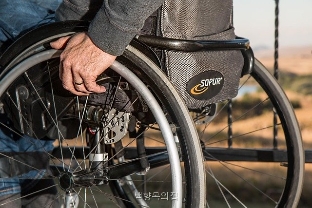 백향목의집 사진 4