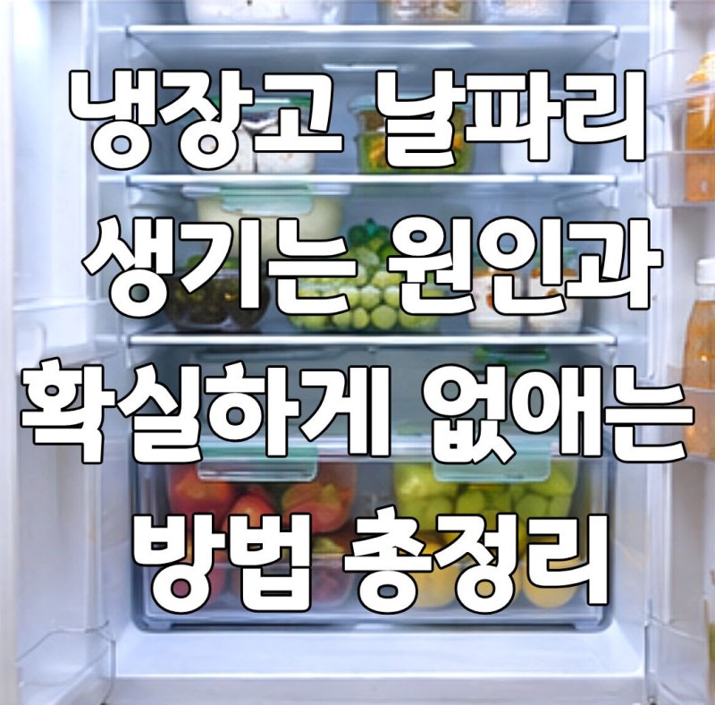 냉장고 날파리 생기는 원인? 확실하게 없애는 방법 총정리