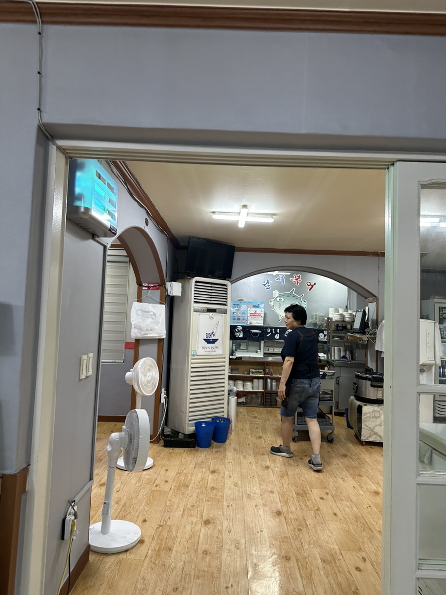 달서복어 사진 2