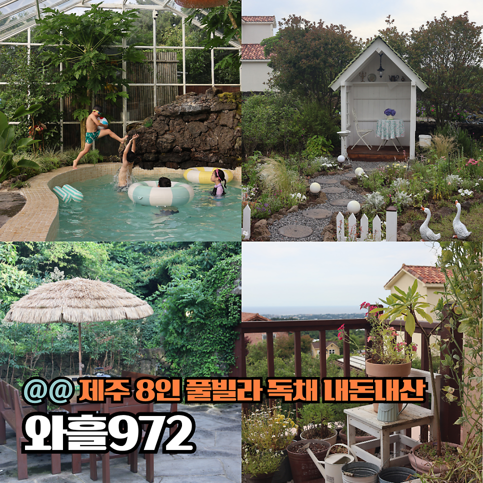 와흘972 사진 1