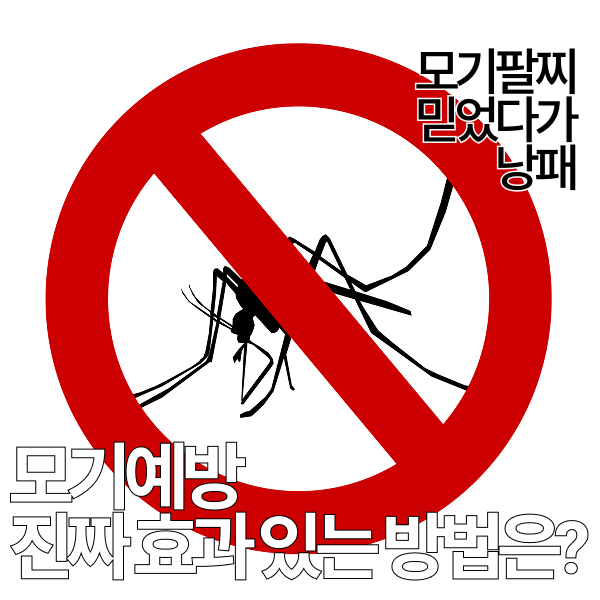 모기패치·모기팔찌 믿어도 될까?전문가들이 말하는 진짜 모기 예방법