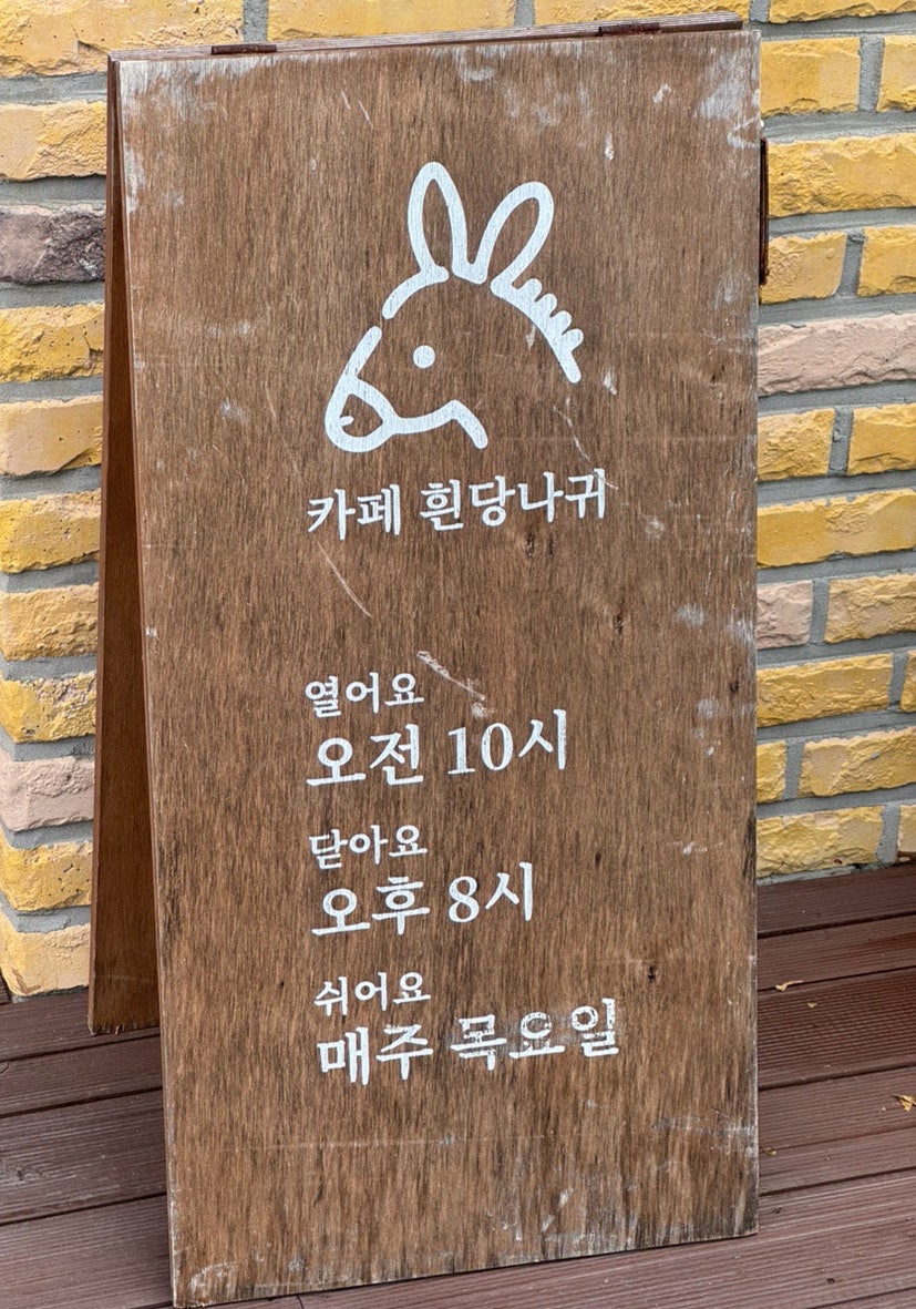 흰당나귀 사진 3