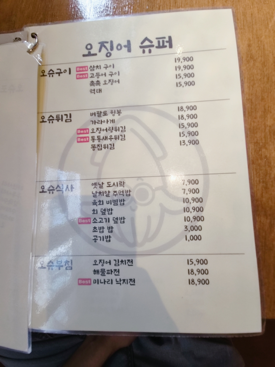 날으는회산오징어 사진 6