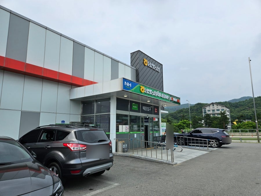 파인힐펜션 사진 2