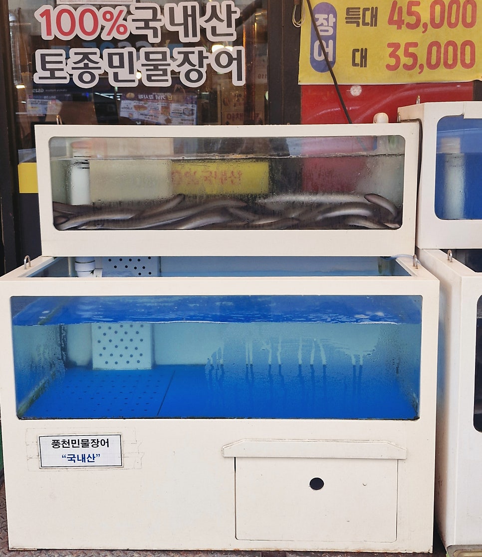 뚱보풍천장어마을 3호점 사진 3