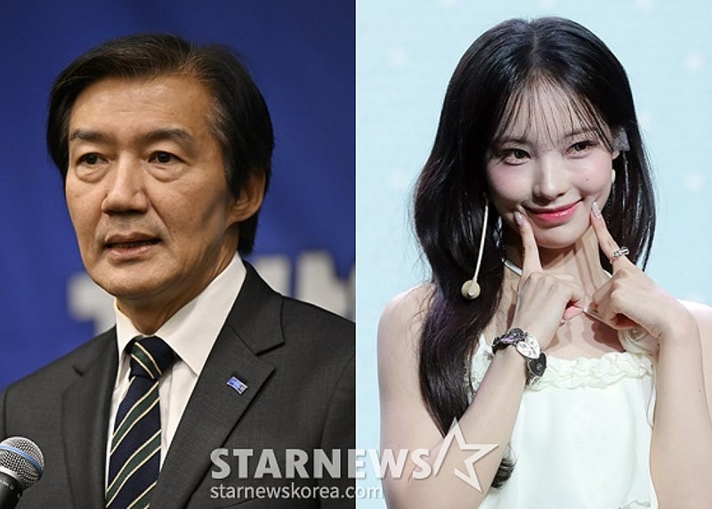 리센느 일베몰이 한 중진 정치인 조국