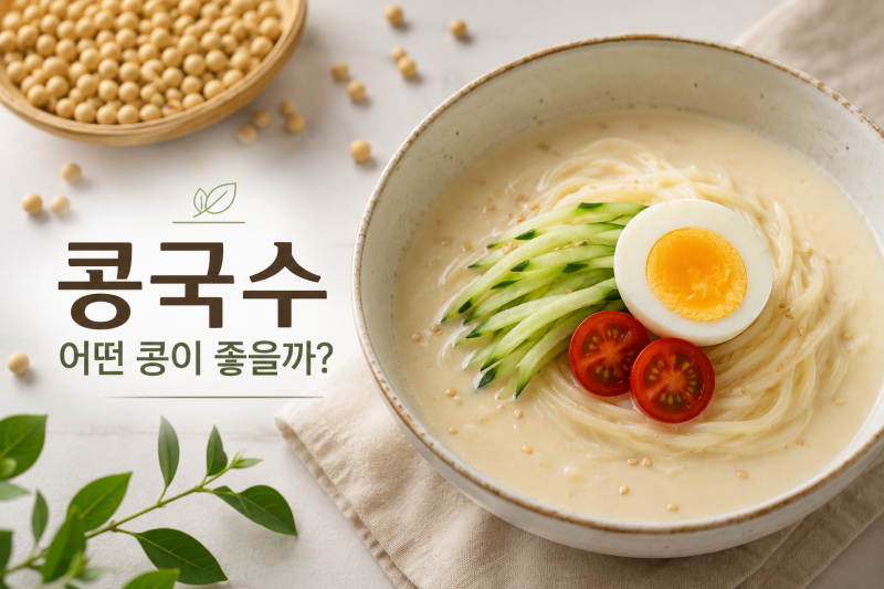 콩국물 만들기: 콩국수 어떤 콩을 사용해야 맛있을까? 종류별 차이 총정리