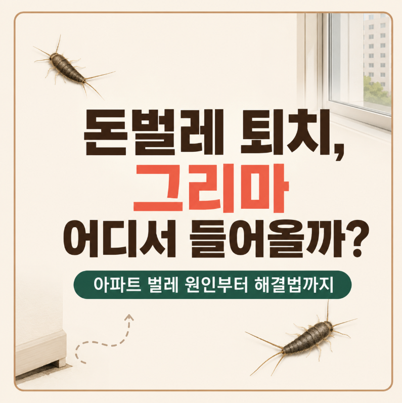 돈벌레 퇴치, 그리마 어디서 들어올까? 아파트 벌레 원인부터 해결법까지
