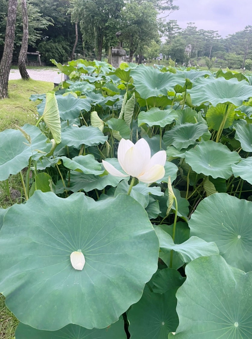 한옥식당 사진 5