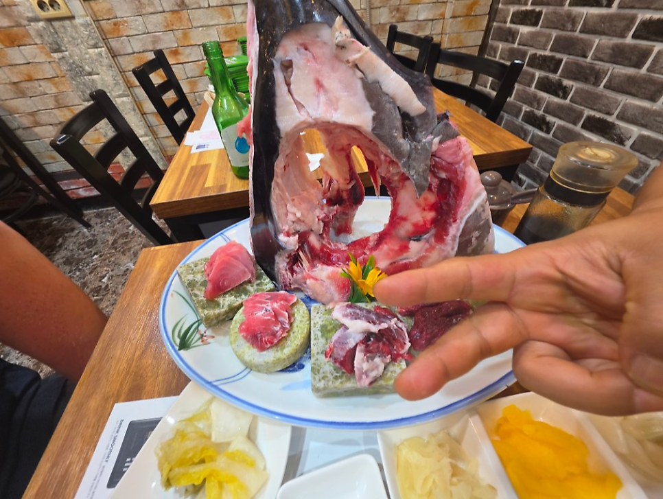 참치월드 사진 2