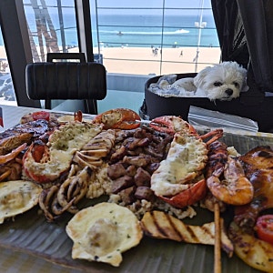 강릉 애견동반 식당 안목해변 맛집 바베큐 효레의 식당