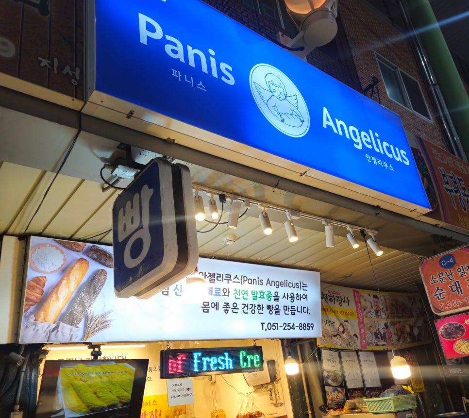 파니스안젤리쿠스 사진 2