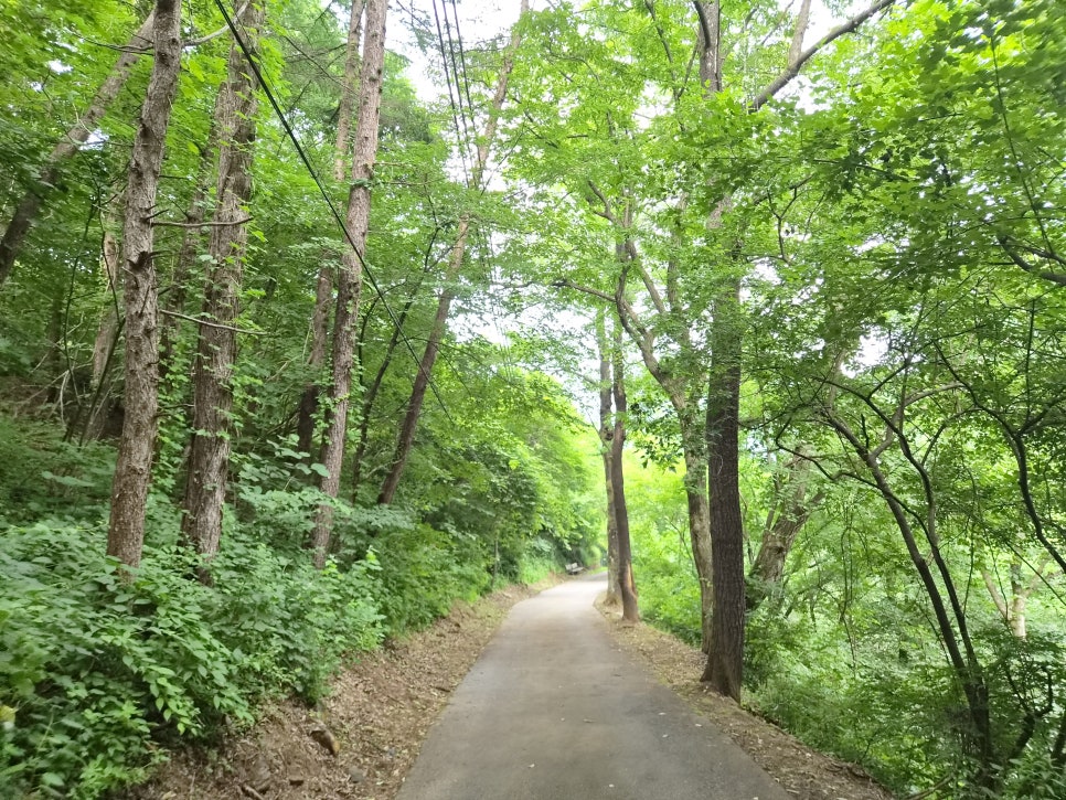 명지산군립공원 사진 2