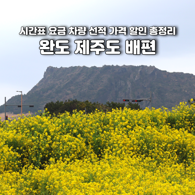 완도 제주도 배편 시간표 요금 차량 선적 가격 할인 총정리