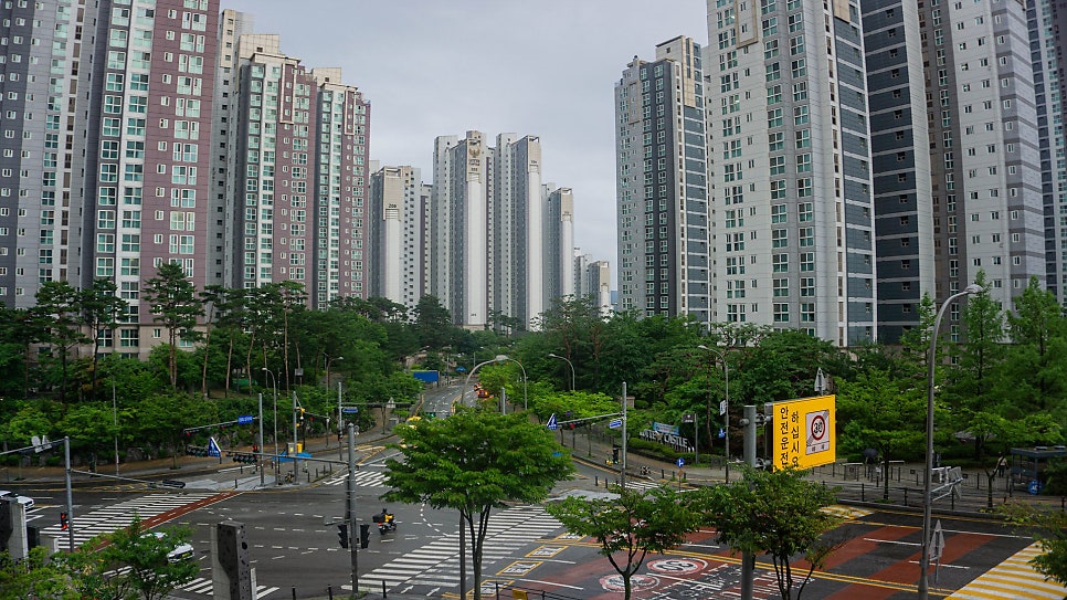정스참나무화덕피자 사진 4