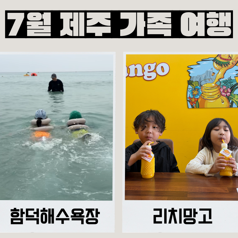 함덕해수욕장 아이와 가기 좋은 제주바다 (샤워장, 주차장, 편의시설), 리치망고