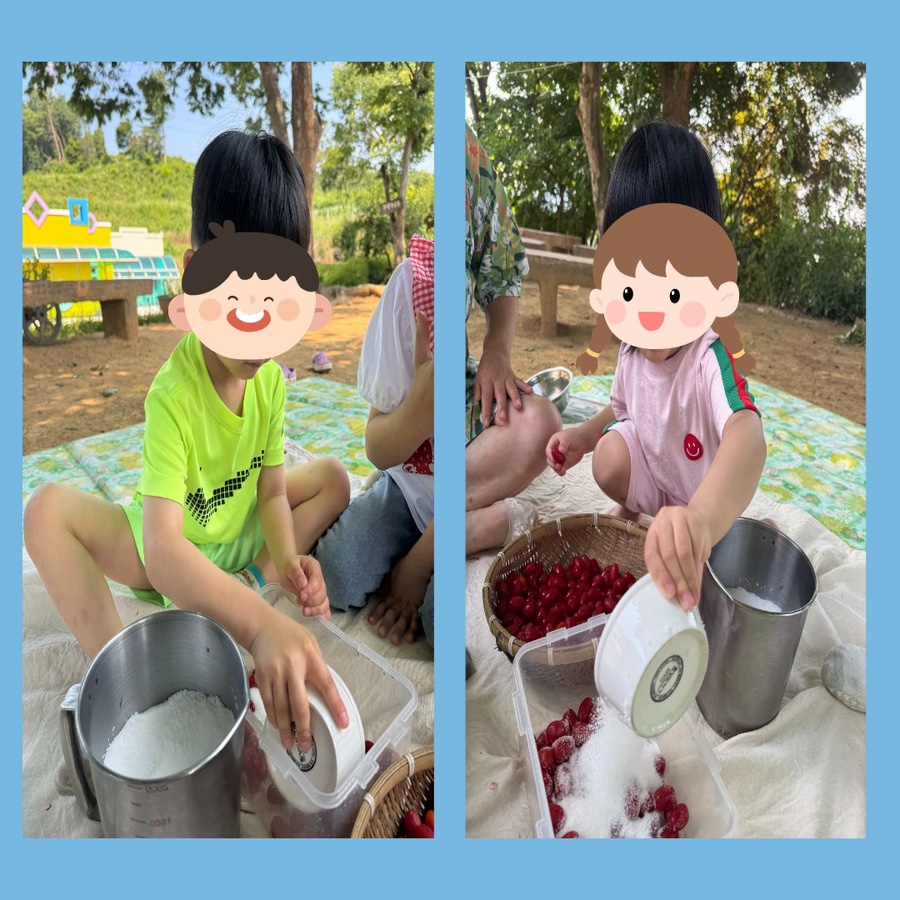 보리수 사진 6