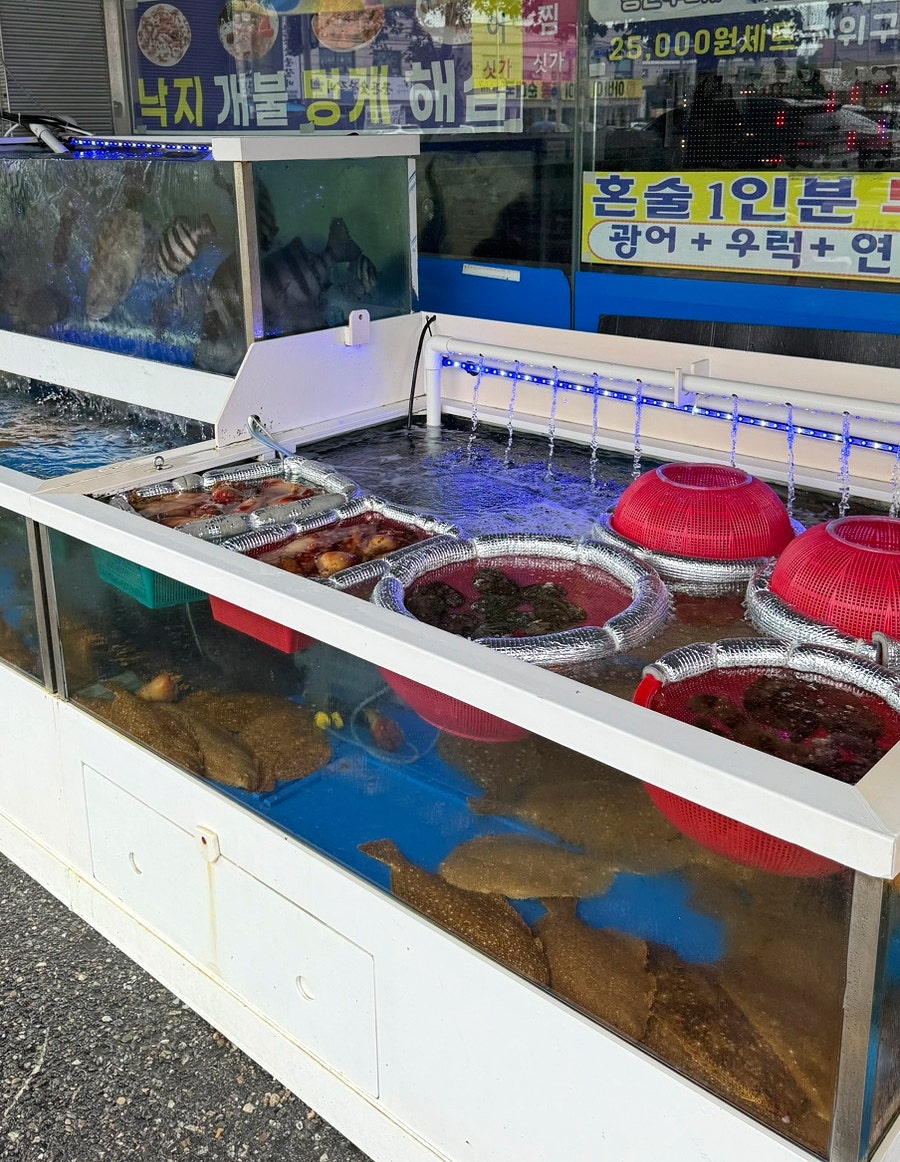 김가네칼국수 동화수산 사진 4