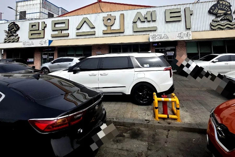 맘모스회센타 1호 사진 1