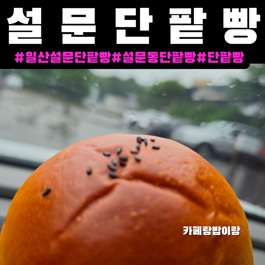설문단팥빵 사진 1