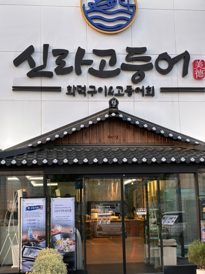 신라고등어 사진 1
