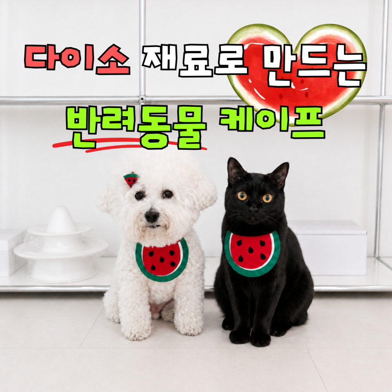 고양이 강아지 케이프 만들기, 바느질 없이 간단하게!