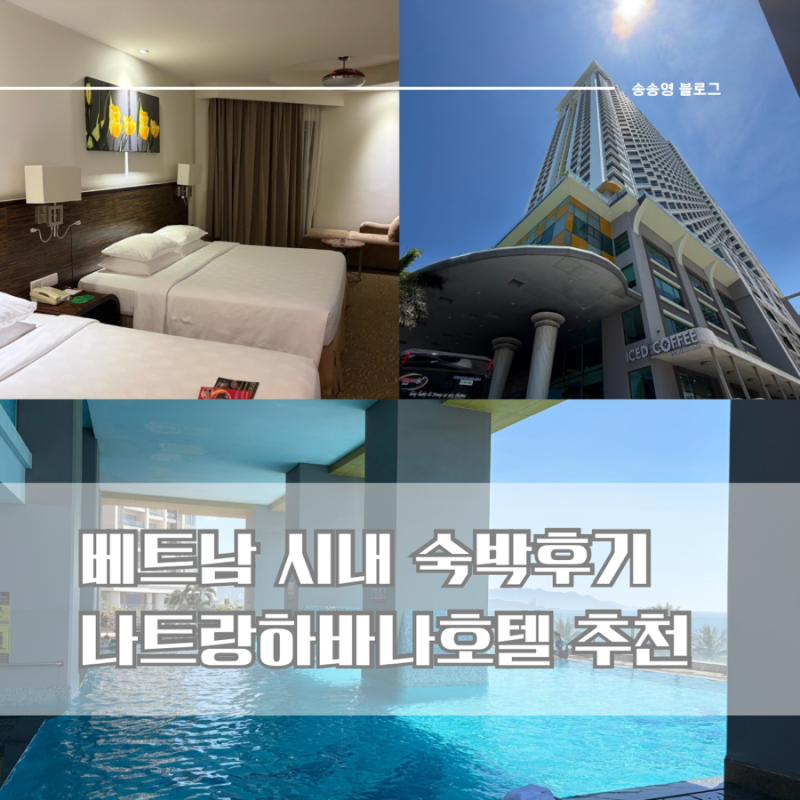 [베트남/나트랑] 하바나 나트랑 호텔 숙박 후기 :: 가성비 시내호텔 추천, 수영장/헬스장/조식....