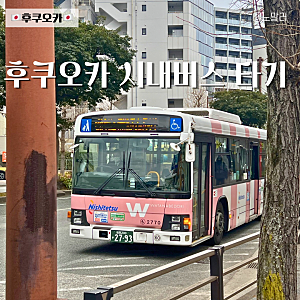 후쿠오카 버스 타는법 트레블월렛 카드 현금 요금
