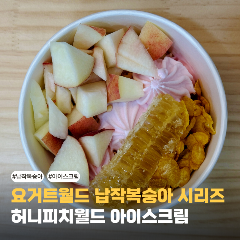 요거트월드 목동파리공원점 납작복숭아 신메뉴! 허니피치월드 직접 먹어본 솔직후기