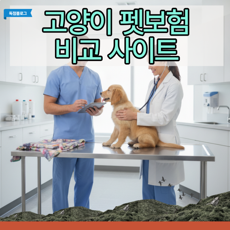 고양이 펫보험 비교 사이트 엑셀 정산 후기, 메리츠 카카오 삼성 44만원 아낀 선택 기준