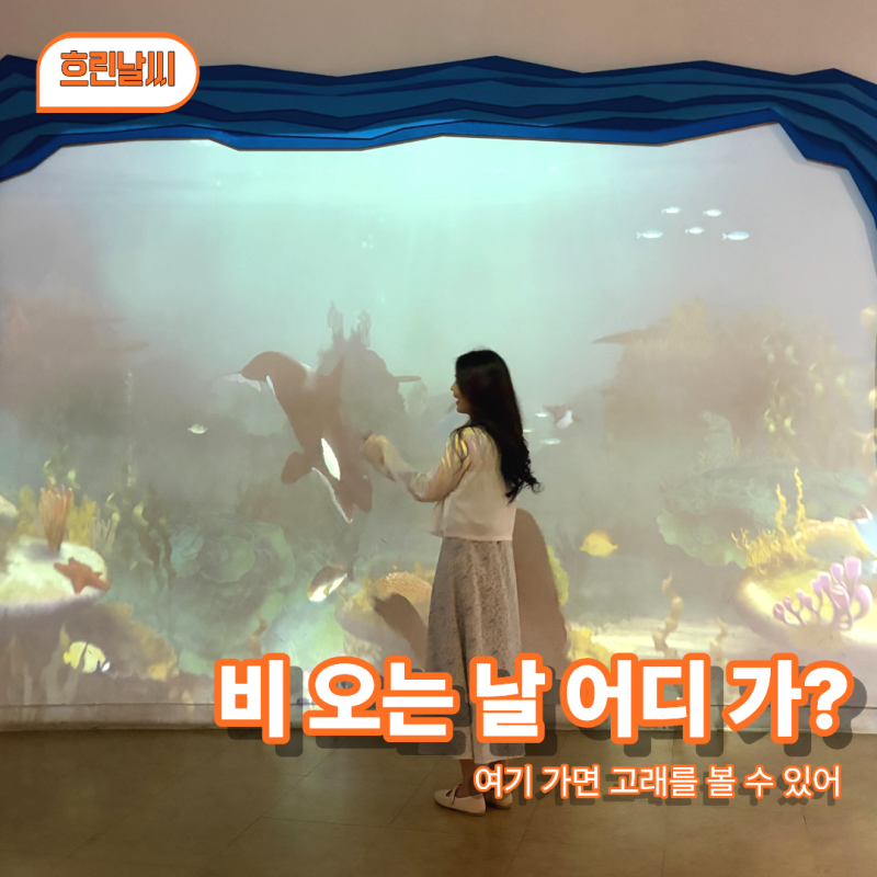 울산 7월 장마철 가볼 만한 곳 장생포 고래 박물관 실내 데이트 30분 코스