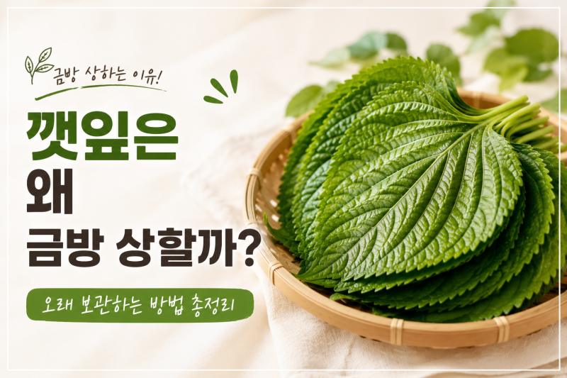 깻잎은 왜 금방 상할까? 오래 보관하는 방법 총정리